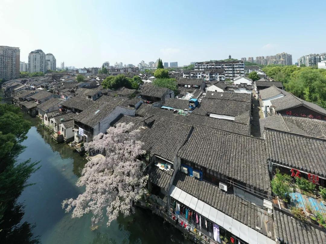 牛牛