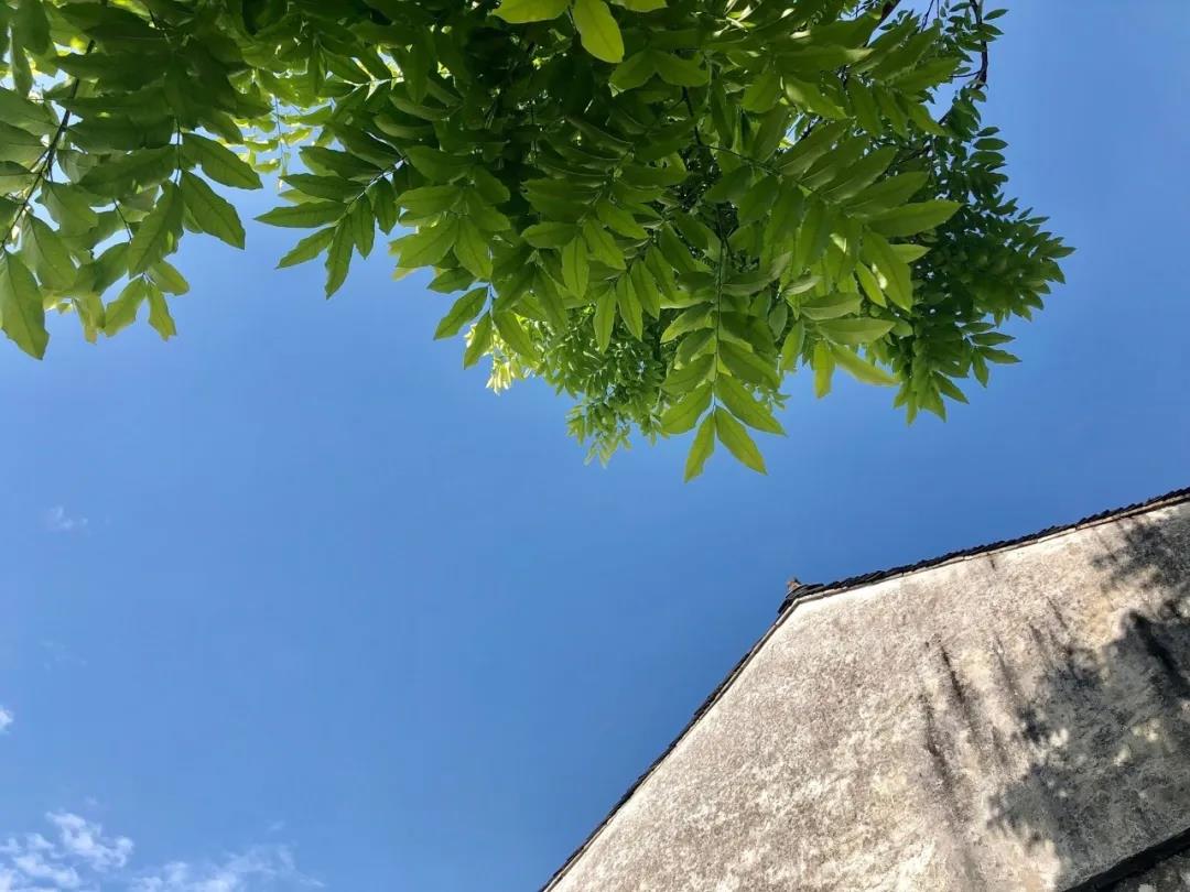 牛牛