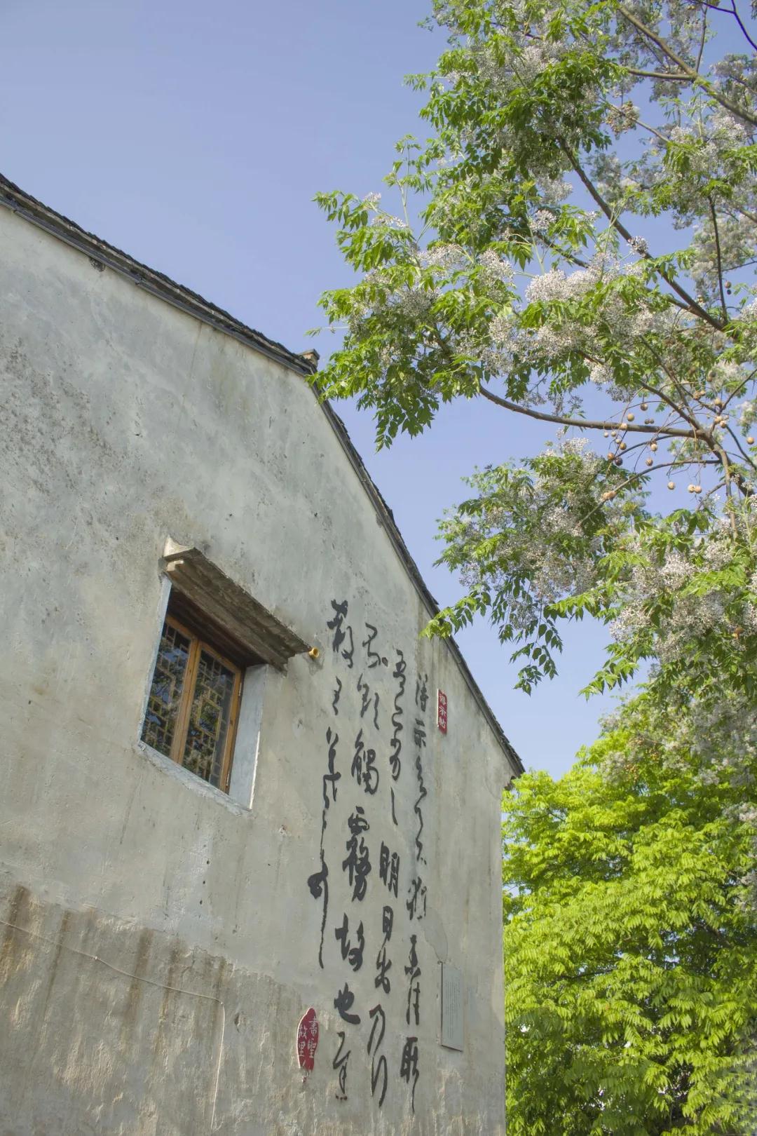 牛牛