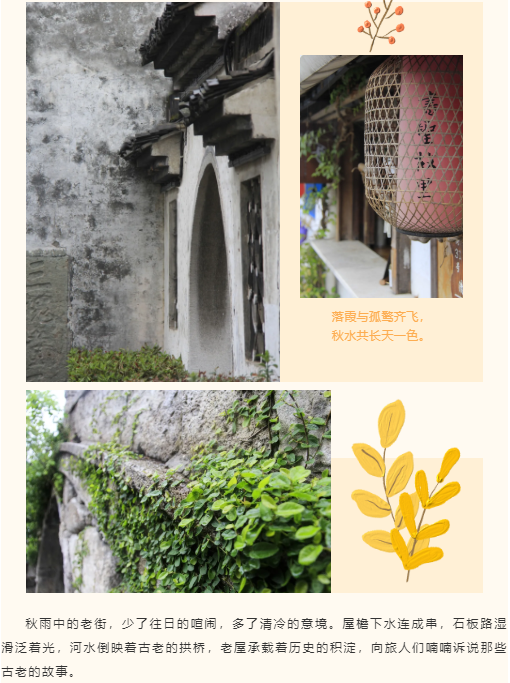 牛牛