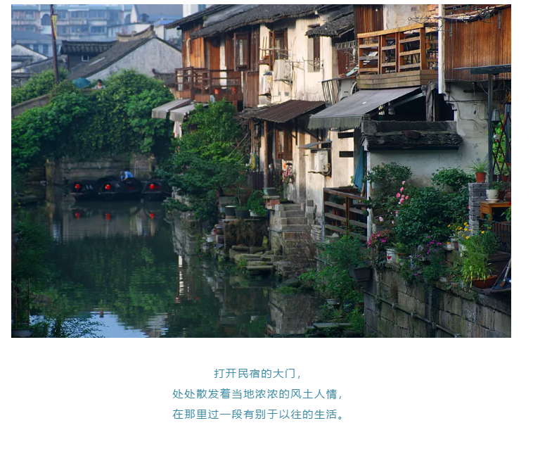牛牛