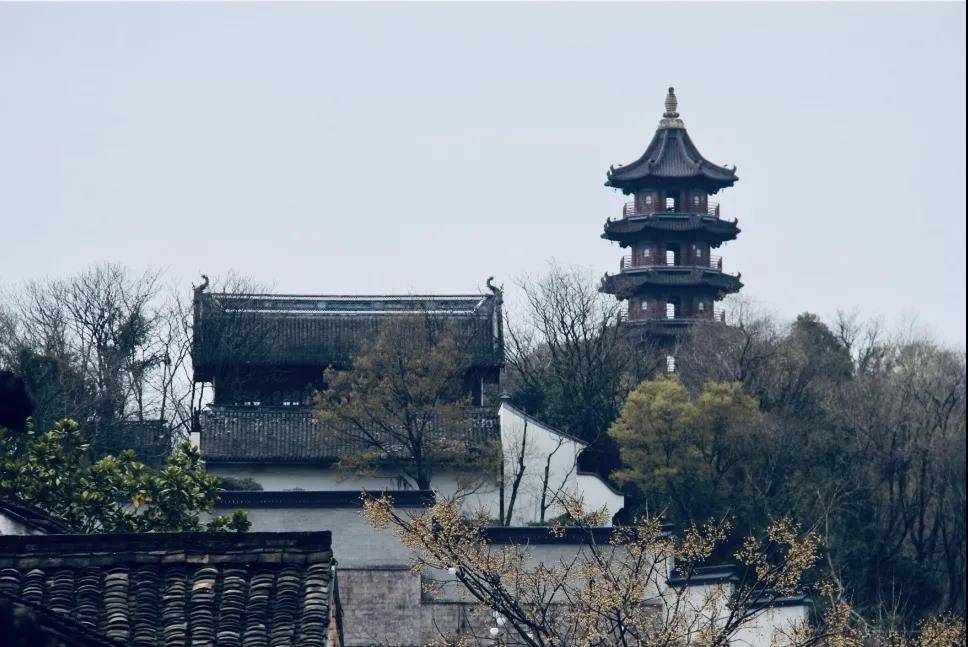 牛牛