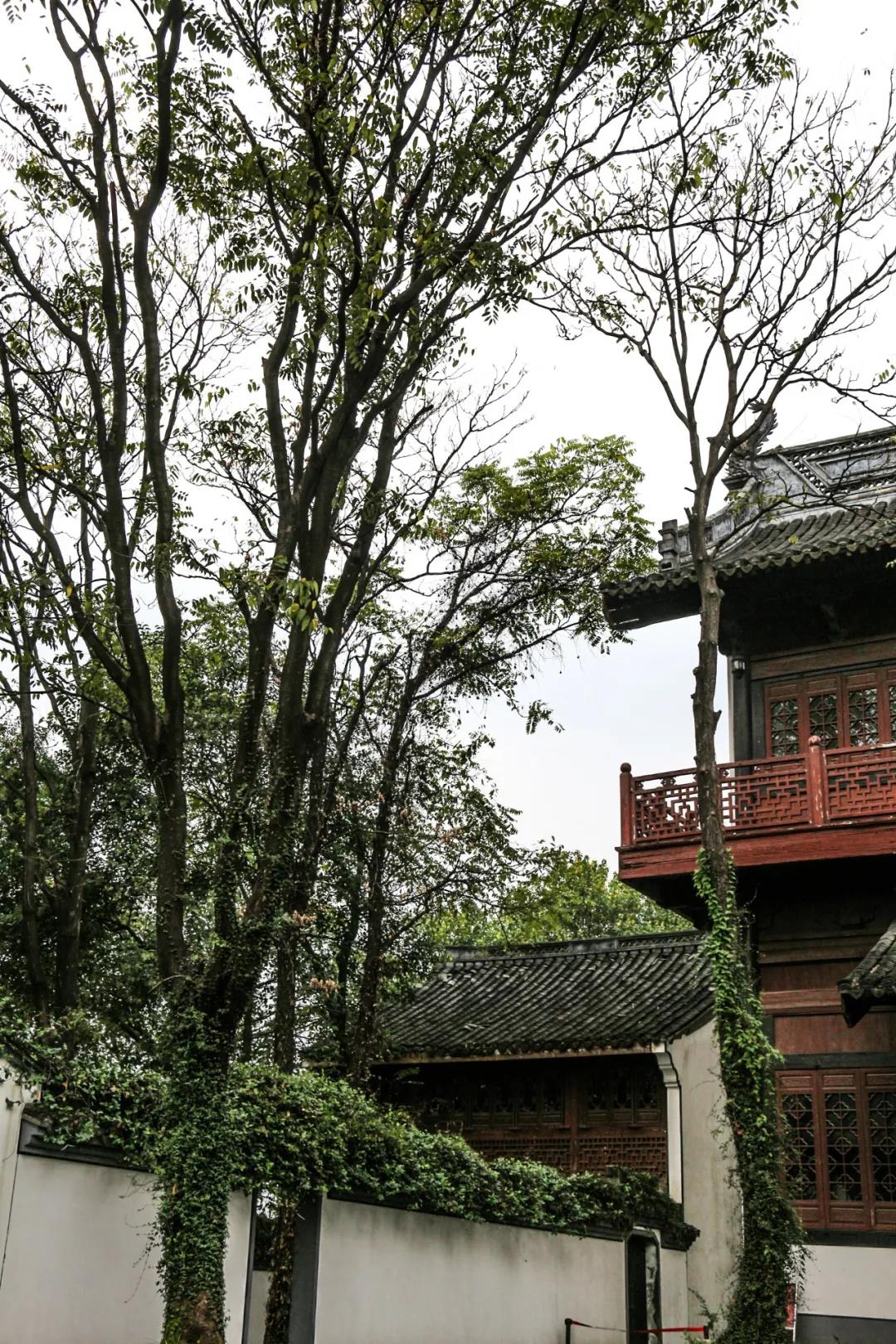 牛牛