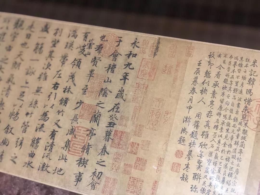 牛牛