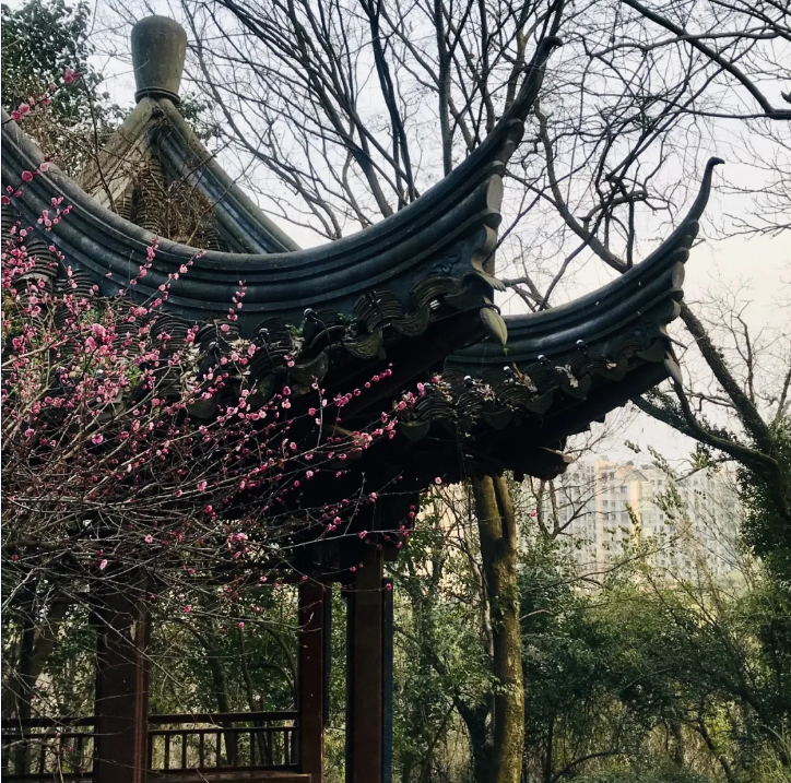 牛牛