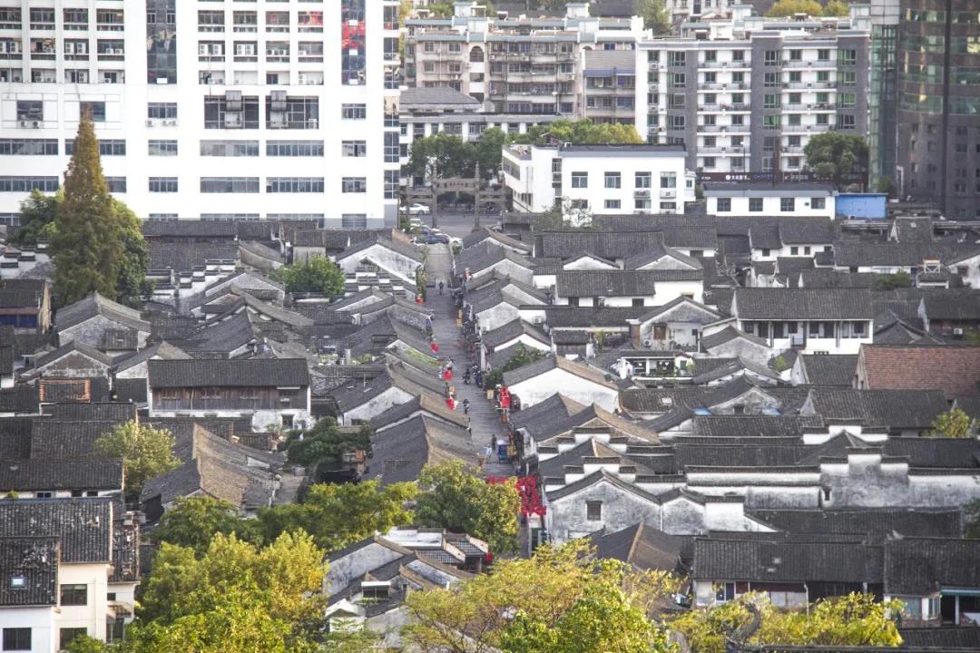 牛牛