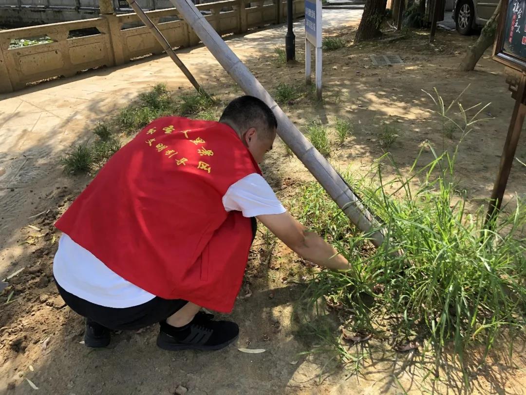 牛牛