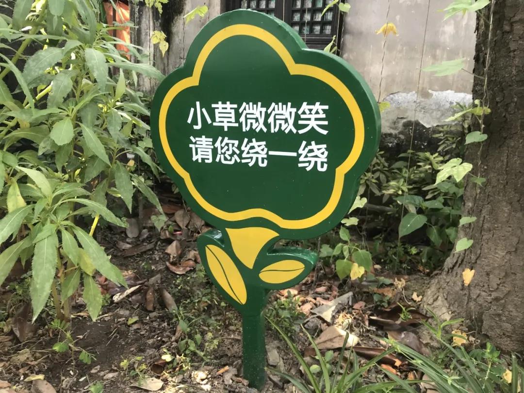 牛牛