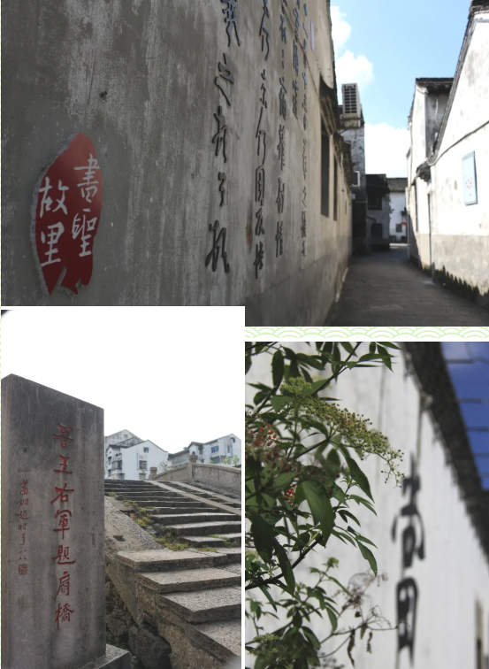 牛牛