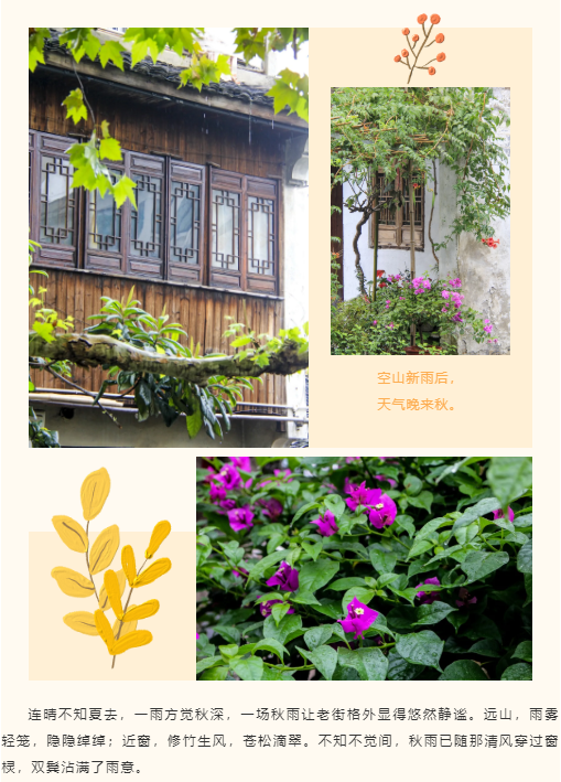 牛牛