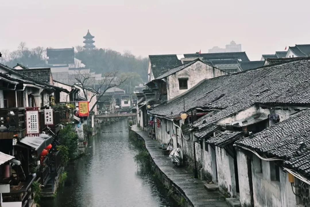 牛牛