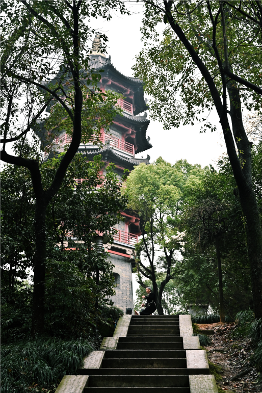 牛牛