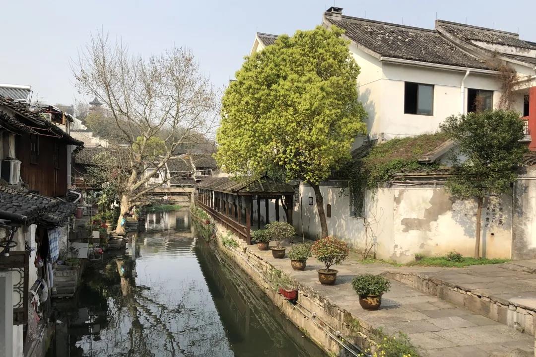牛牛