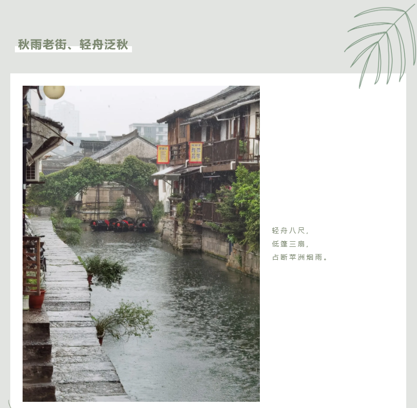 牛牛